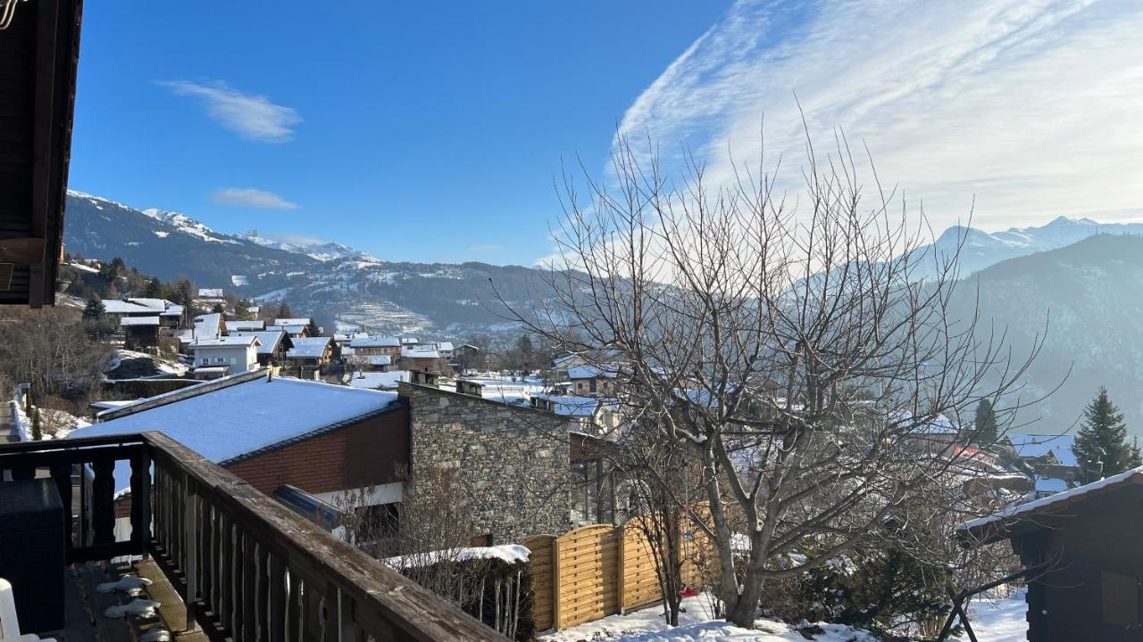 Chalet Siesta *
